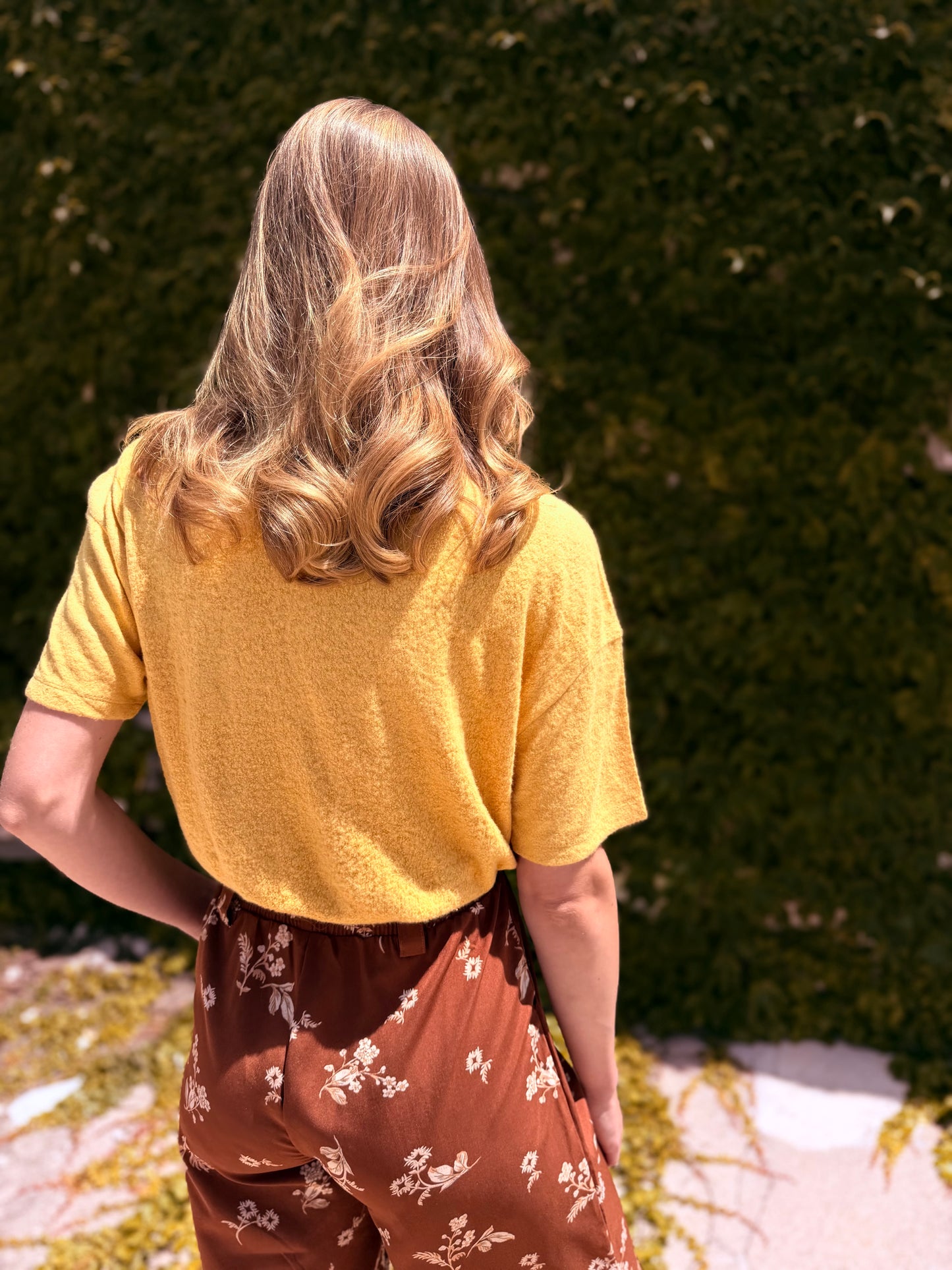 Collared Short Sleeve Crop Top