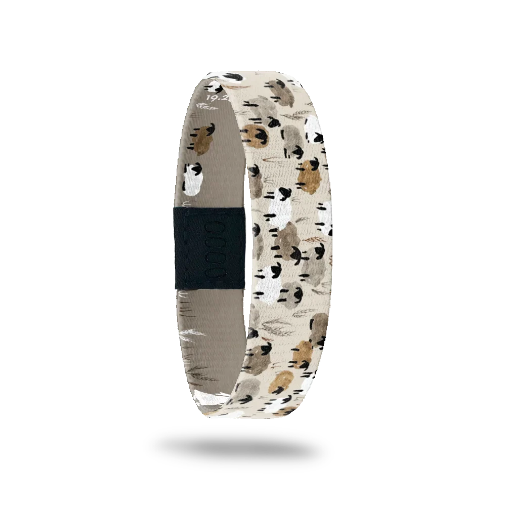 The Lord is my Shepherd - Interactive ZOX Bracelet Bible